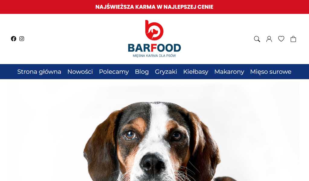 Barfood.pl - mięsna karma dla psów